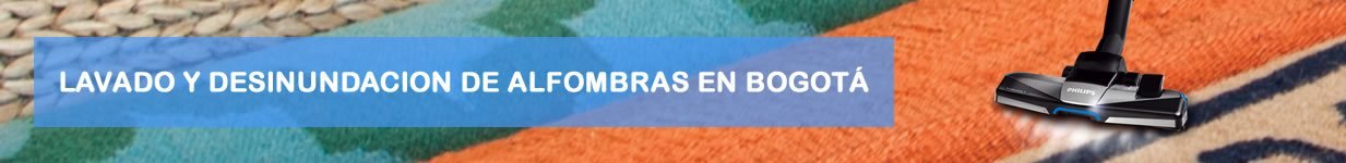 desinundacion de alfombras en bogota