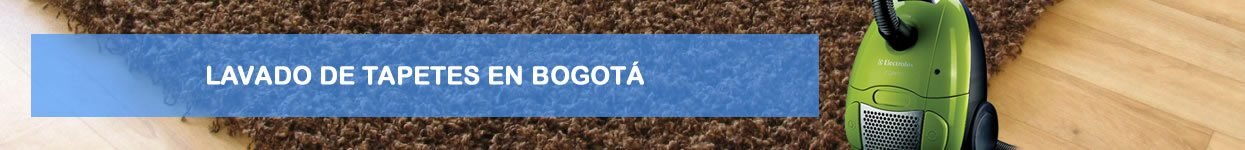lavado de tapetes en bogota